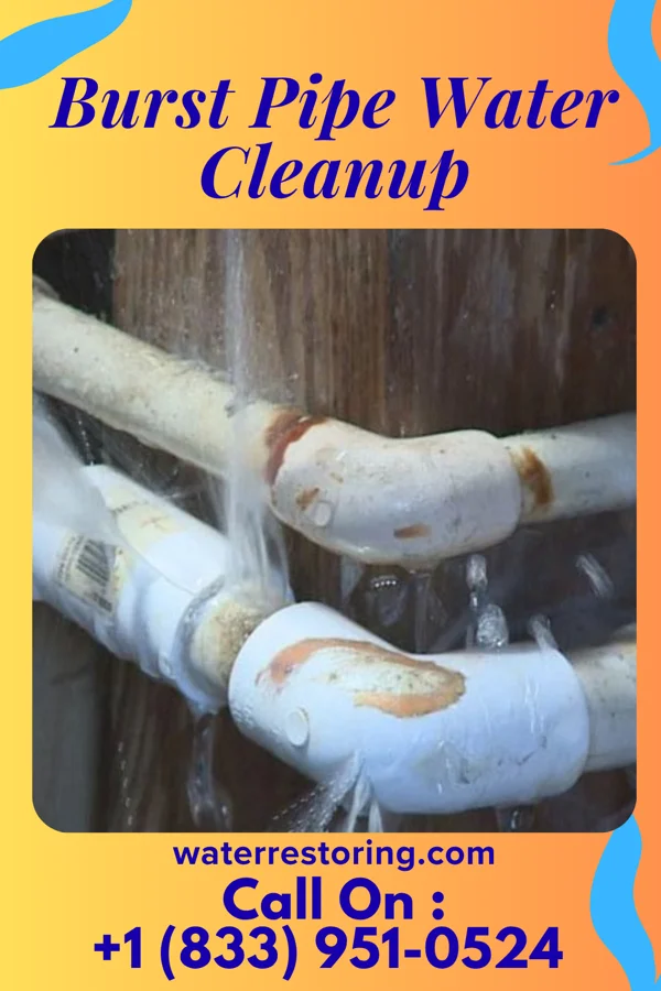 Burst Pipe Water Cleanup in Firthcliffe, NY