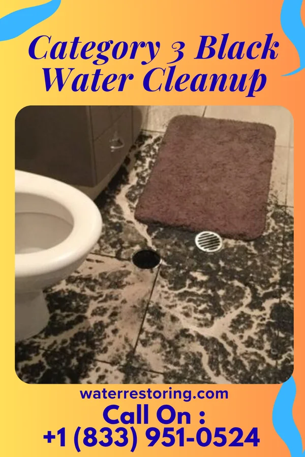 Category 3 Black Water Cleanup in Firthcliffe, NY