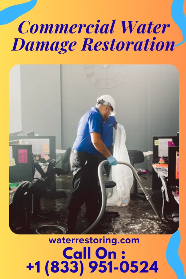 Commercial Water Damage Restoration in Firthcliffe, NY