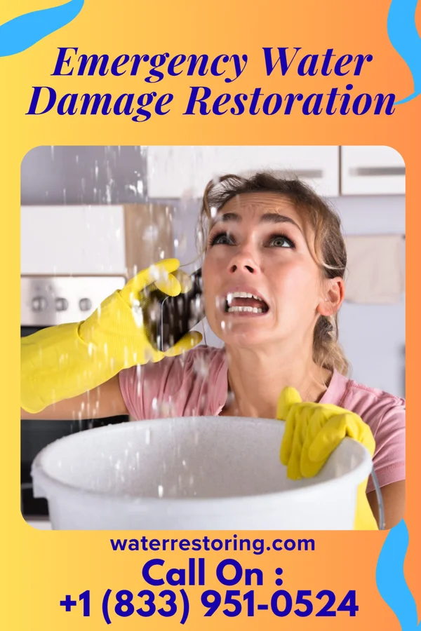 Emergency Water Damage Restoration in Firthcliffe, NY