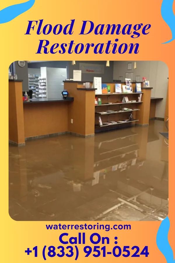 Flood Damage Restoration in Firthcliffe, NY