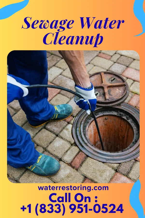 Sewage Water Cleanup in Firthcliffe, NY